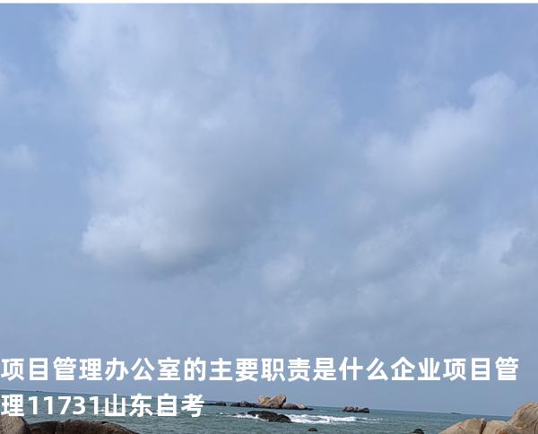 项目管理办公室的主要职责是什么? 企业项目管理 11731 山东自考