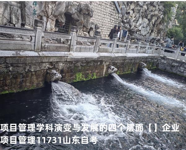 项目管理学科演变与发展的四个层面【】企业项目管理 11731 山东自考