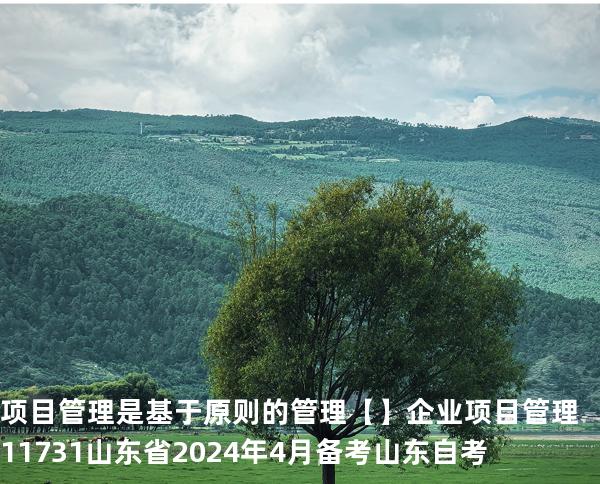 项目管理是基于原则的管理【】企业项目管理 11731 山东省2024年4月 备考山东自考