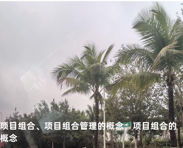 项目组合、项目组合管理的概念；  项目组合的概念
