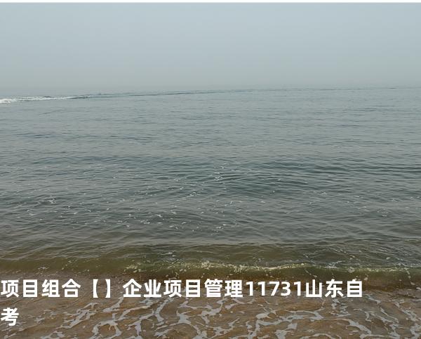 项目组合【】企业项目管理 11731 山东自考
