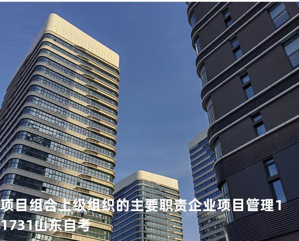  项目组合上级组织的主要职责  企业项目管理 11731 山东自考