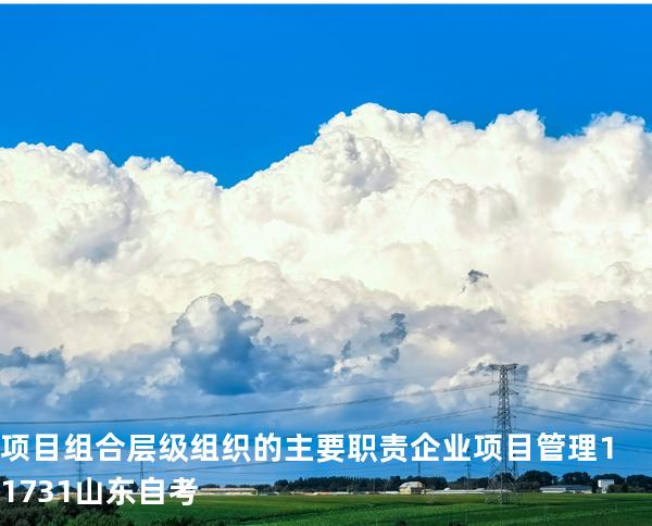 项目组合层级组织的主要职责 企业项目管理 11731 山东自考
