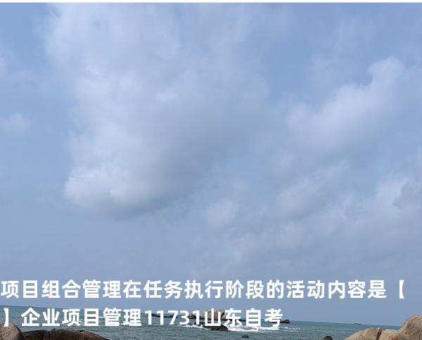 项目组合管理在任务执行阶段的活动内容是【】企业项目管理 11731 山东自考