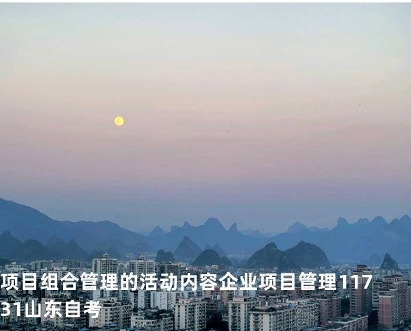 项目组合管理的活动内容  企业项目管理 11731 山东自考
