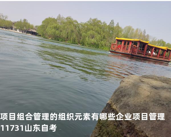项目组合管理的组织元素有哪些? 企业项目管理 11731 山东自考
