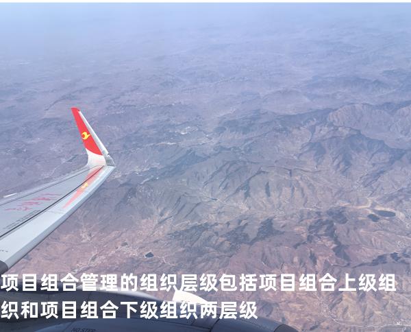 项目组合管理的组织层级包括项目组合上级组织和项目组合下级组织两层级