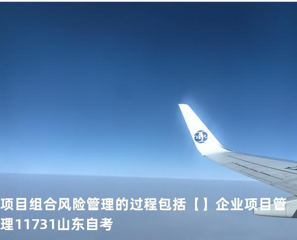 项目组合风险管理的过程包括【】企业项目管理 11731 山东自考