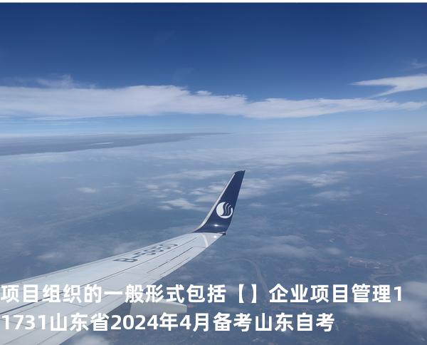 项目组织的一般形式包括 【】企业项目管理 11731 山东省2024年4月 备考山东自考