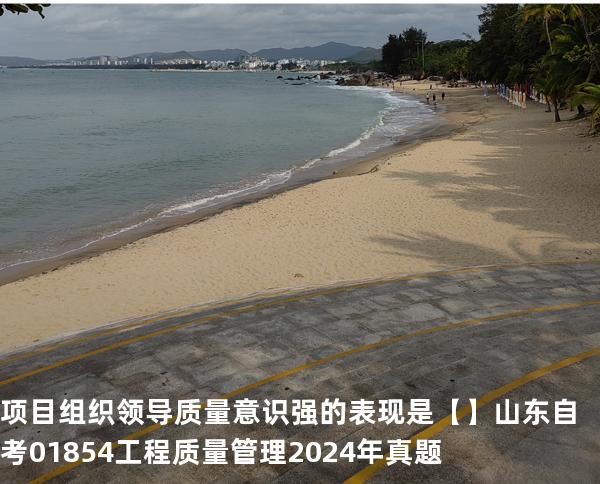 项目组织领导质量意识强的表现是【】山东自考 01854工程质量管理 2024年真题