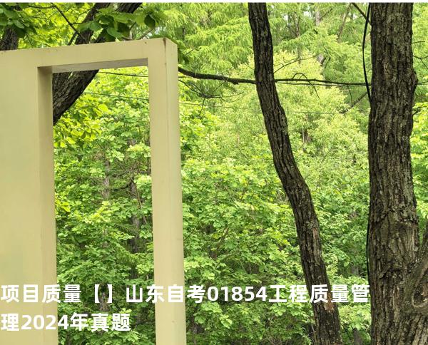 项目质量【】山东自考 01854工程质量管理 2024年真题