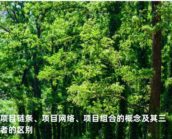 项目链条、项目网络、项目组合的概念及其三者的区别