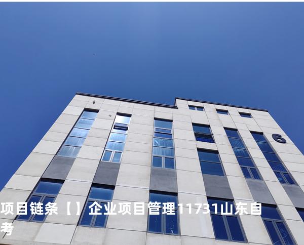 项目链条【】企业项目管理 11731 山东自考
