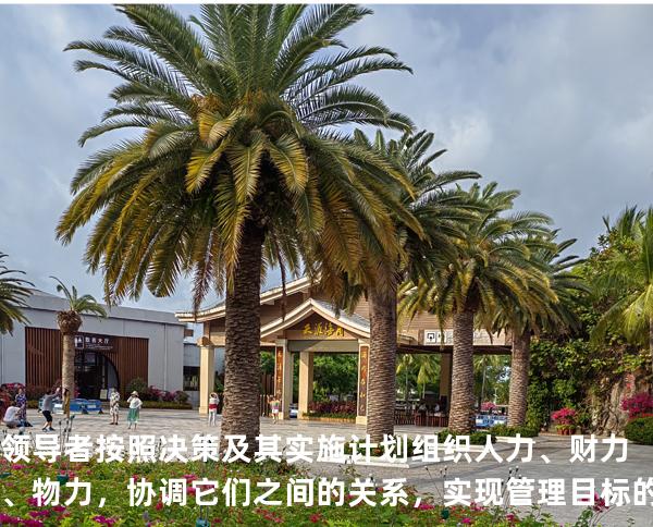 领导者按照决策及其实施计划组织人力、财力、物力，协调它们之间的关系，实现管理目标的能力是（ ）