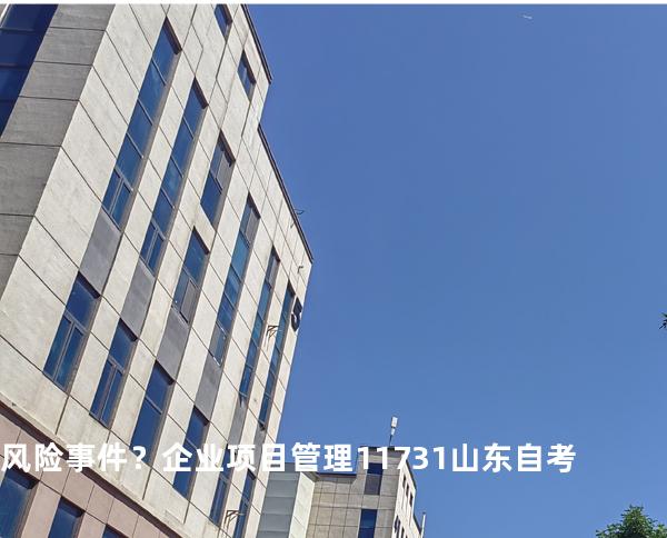 风险事件？企业项目管理 11731 山东自考