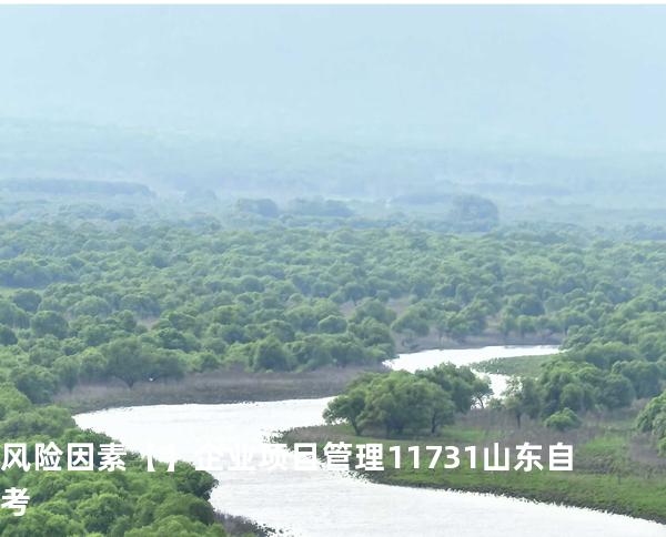 风险因素【】企业项目管理 11731 山东自考