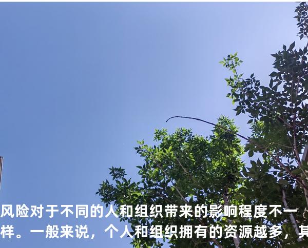 风险对于不同的人和组织带来的影响程度不一样。一般来说，个人和组织拥有的资源越多，其风险承受 能力越