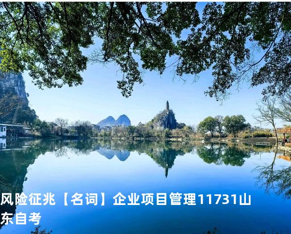 风险征兆【名词】企业项目管理 11731 山东自考