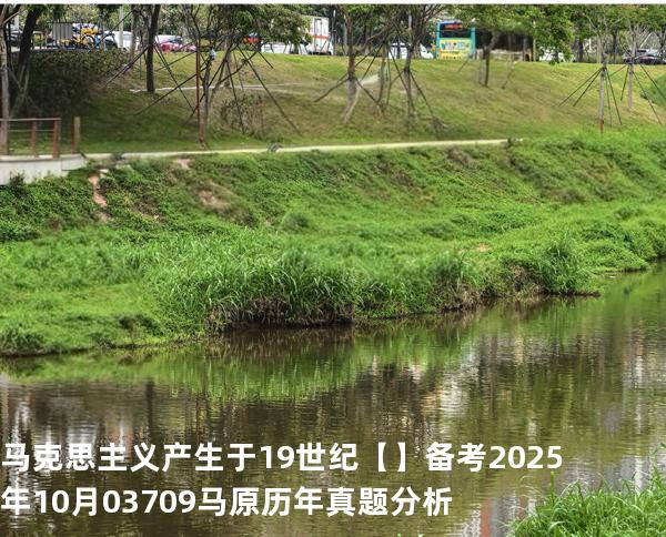 马克思主义产生于 19 世纪【】备考2025年10月 03709马原   历年真题分析