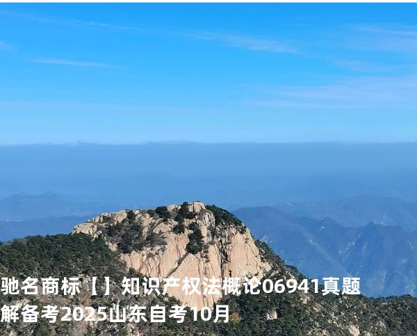 驰名商标【】知识产权法概论 06941 真题解 备考2025山东自考10月