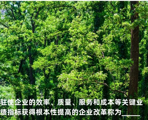 驻使企业的效率、质量、服务和成本等关键业绩指标获得根本性提高的企业改革称为_____