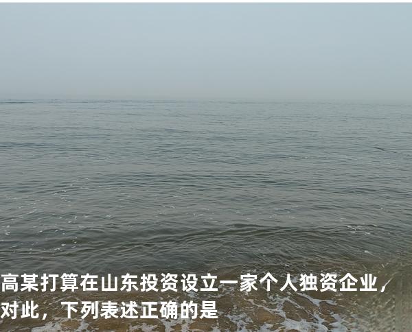 高某打算在山东投资设立一家个人独资企业，对此，下列表述正确的是