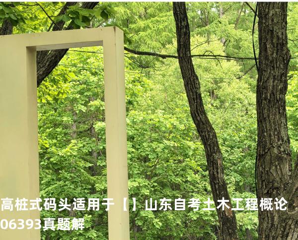 高桩式码头适用于【】山东自考 土木工程概论 06393 真题解