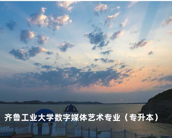 齐鲁工业大学 数字媒体艺术专业（专升本）