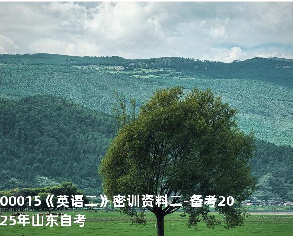 00015《英语二》密训资料 二 -备考2025年山东自考