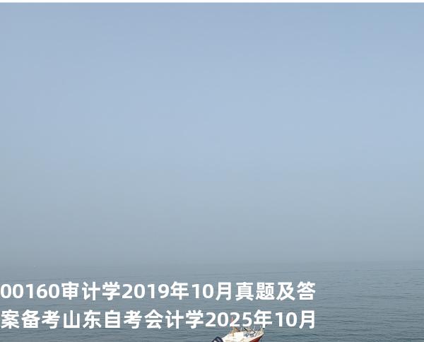 00160审计学2019年10月真题及答案备考山东自考会计学 2025年10月