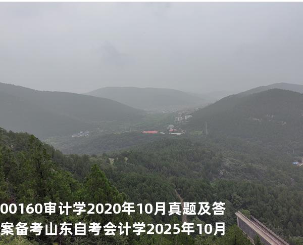 00160审计学2020年10月真题及答案备考山东自考会计学 2025年10月