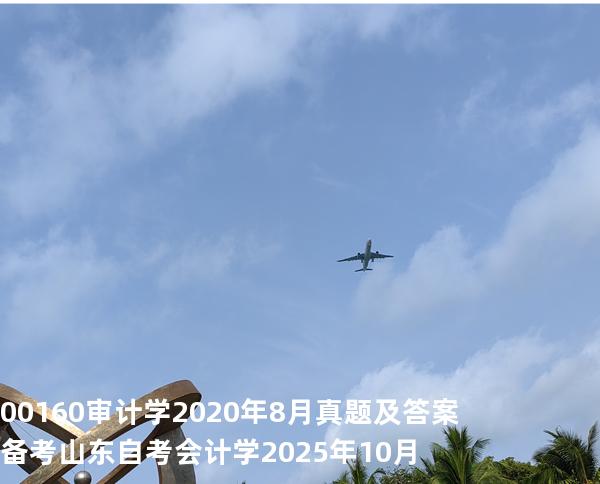 00160审计学2020年8月真题及答案备考山东自考会计学 2025年10月