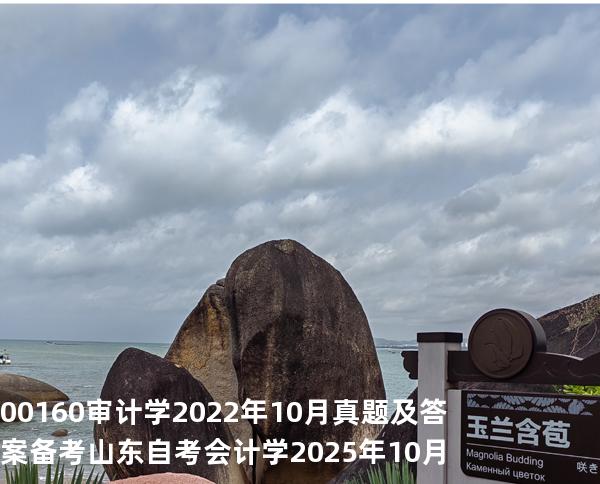 00160审计学2022年10月真题及答案备考山东自考会计学 2025年10月