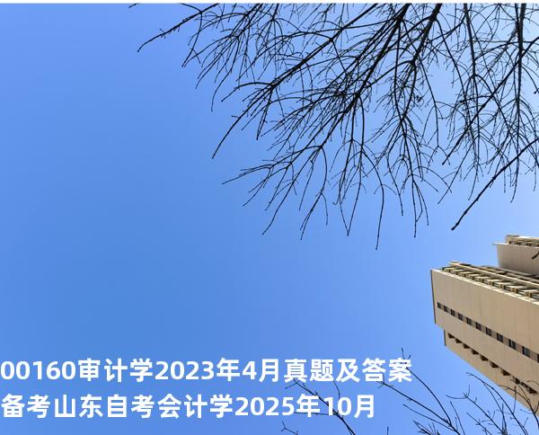 00160审计学2023年4月真题及答案备考山东自考会计学 2025年10月