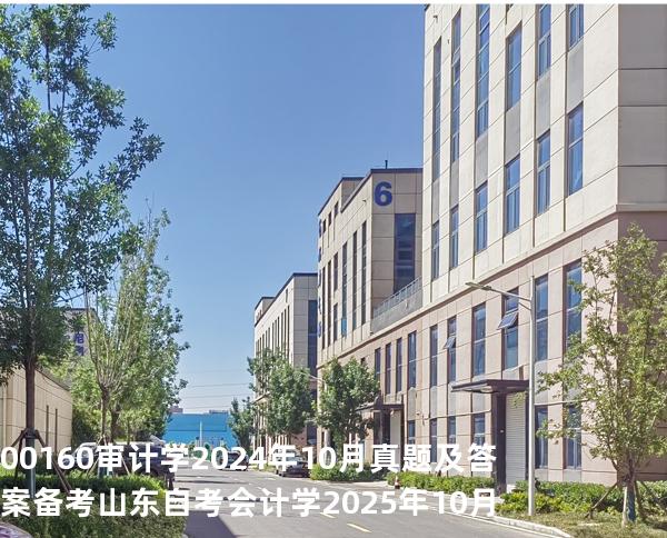 00160审计学2024年10月真题及答案备考山东自考会计学 2025年10月