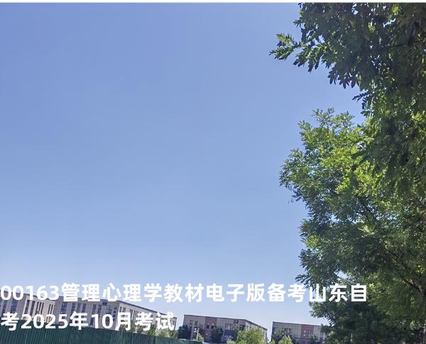 00163管理心理学教材电子版备考山东自考2025年10月考试