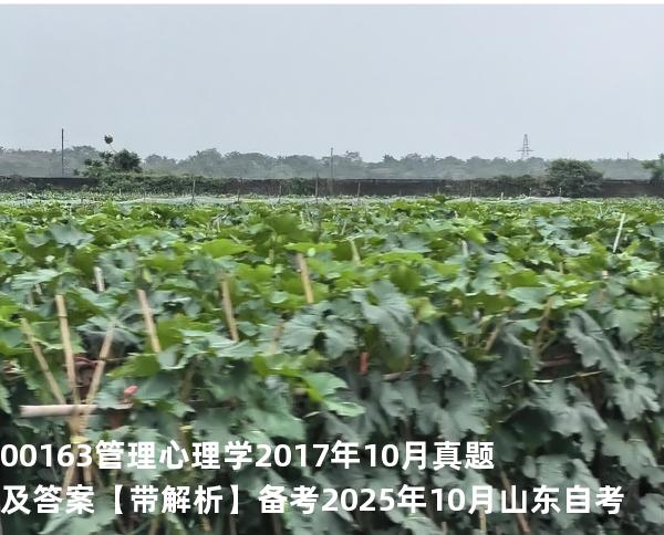 00163管理心理学2017年10月真题及答案【带解析】 备考2025年10月山东自考