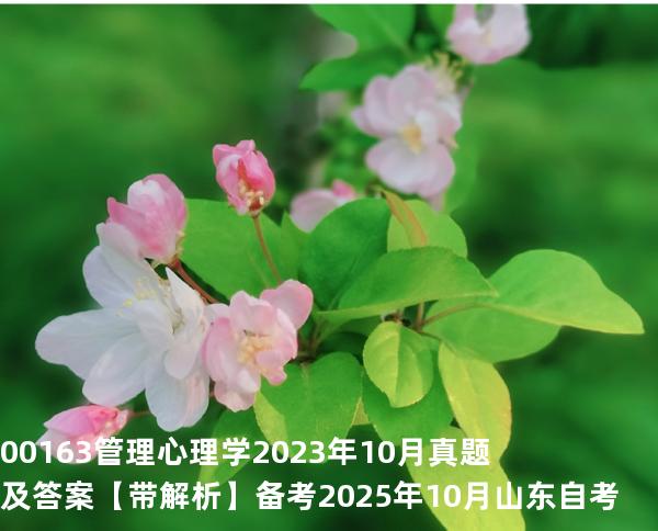 00163管理心理学2023年10月真题及答案【带解析】 备考2025年10月山东自考