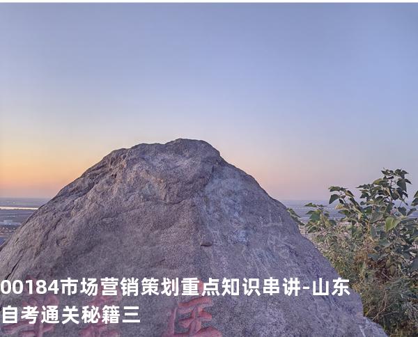 00184市场营销策划 重点知识串讲-山东自考通关秘籍三