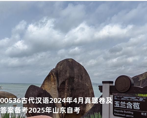 00536古代汉语2024年4月真题卷及答案备考2025年山东自考