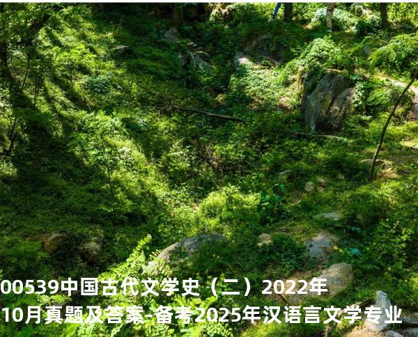 00539中国古代文学史（二）2022年10月真题及答案-备考2025年汉语言文学专业