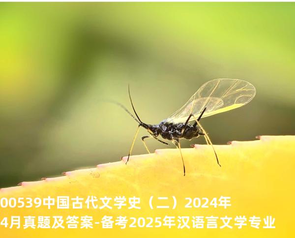 00539中国古代文学史（二）2024年4月真题及答案-备考2025年汉语言文学专业