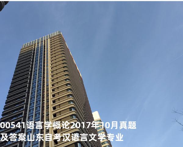 00541语言学概论2017年10月真题及答案山东自考汉语言文学专业