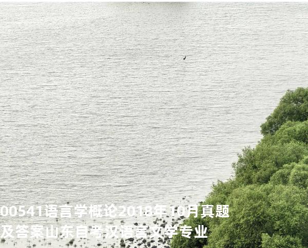 00541语言学概论2018年10月真题及答案山东自考汉语言文学专业