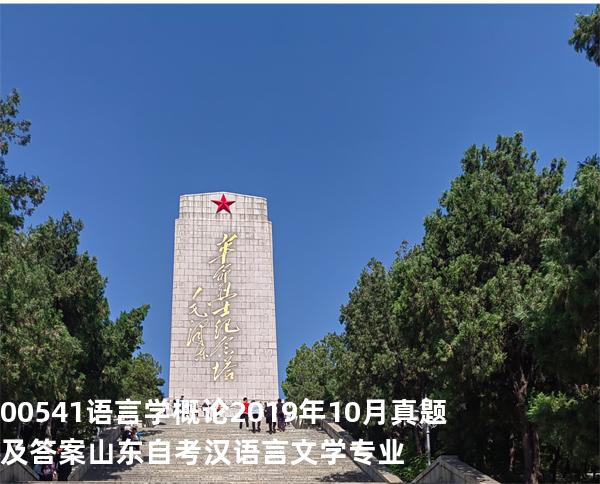 00541语言学概论2019年10月真题及答案山东自考汉语言文学专业
