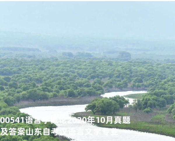 00541语言学概论2020年10月真题及答案山东自考汉语言文学专业