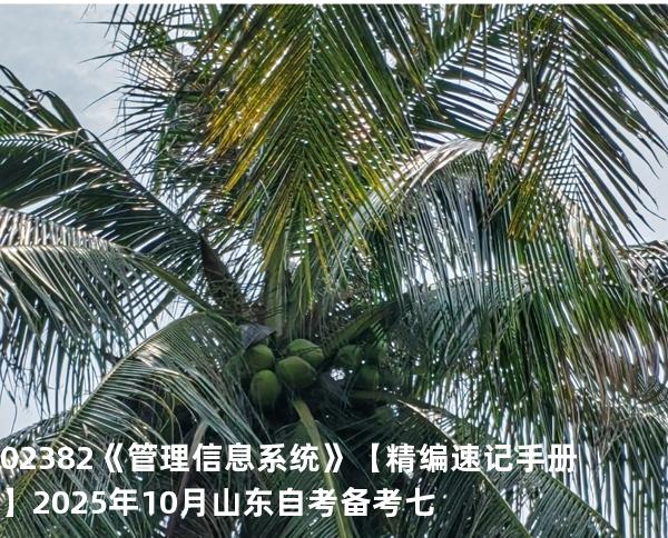 02382《管理信息系统》【精编速记手册】2025年10月山东自考备考七