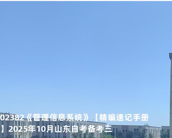 02382《管理信息系统》【精编速记手册】2025年10月山东自考备考三