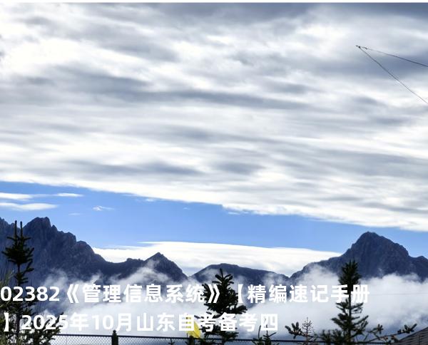 02382《管理信息系统》【精编速记手册】2025年10月山东自考备考四