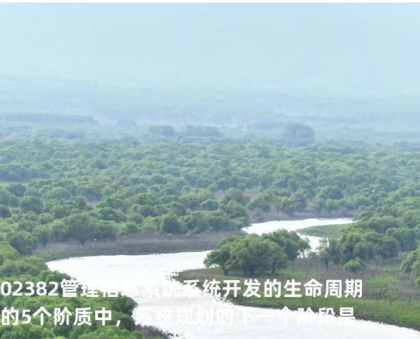 02382管理信息系统  系统开发的生命周期的5个阶质中，系统规划的下一个阶段是